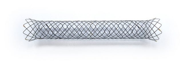 CGBIO’s Biliary Stent ‘ARISTENT’ Receives PMDA Approval in Japan…  “Accelerating Global Expansion Starting with Japanese Market”